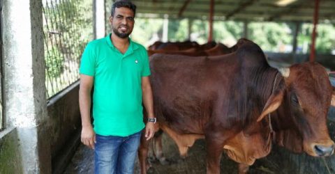 মেধা আর চেষ্টার জোরে কোটিপতি