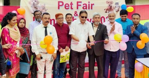 cat show sylhet